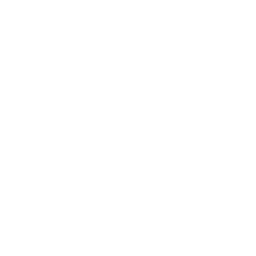 FUEL